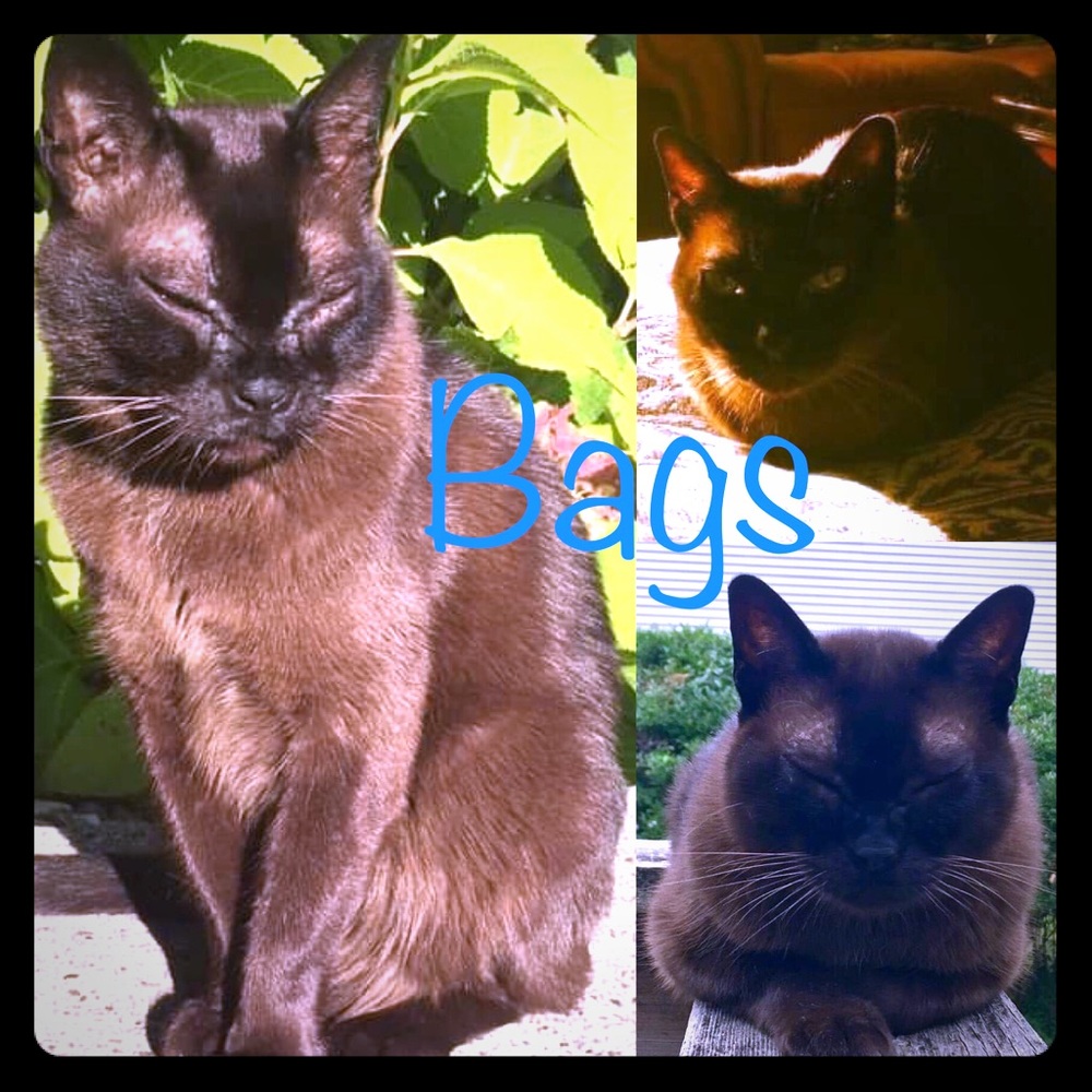 💼👜🎒Bags🎒👜💼 Thank You for Visiting My Closet!